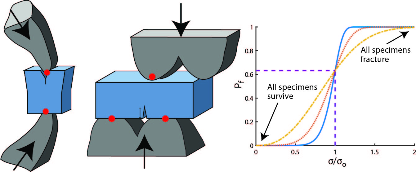 Fracture properties